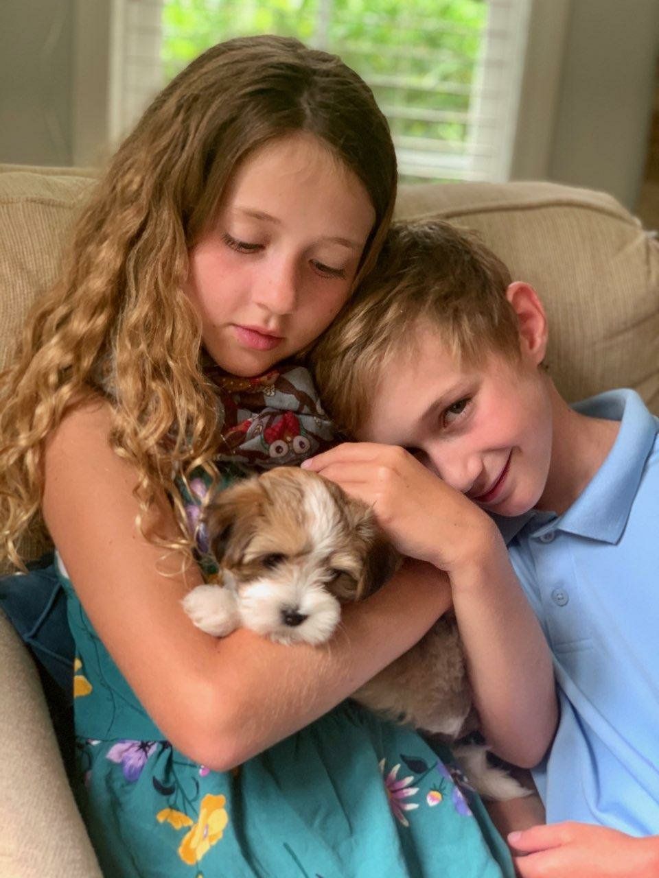 A boy and a girl are sitting on a couch holding a puppy