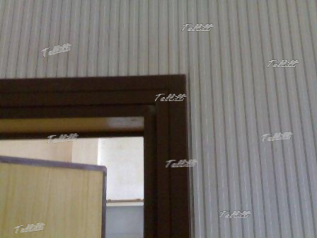 coperture murali Tallilli Palermo