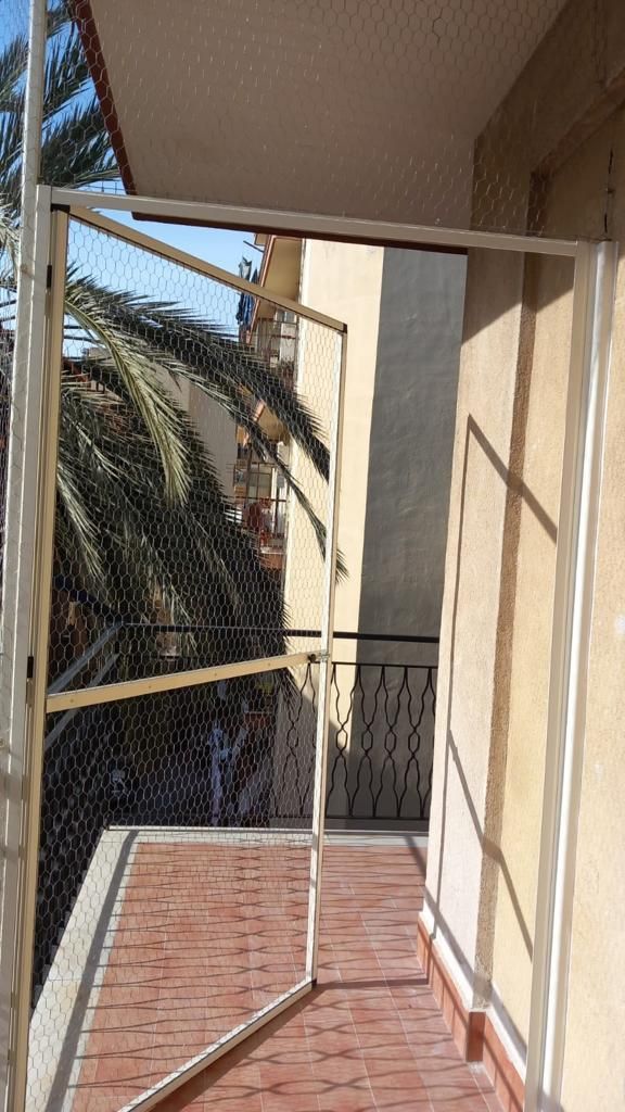 reti di sicurezza gatti