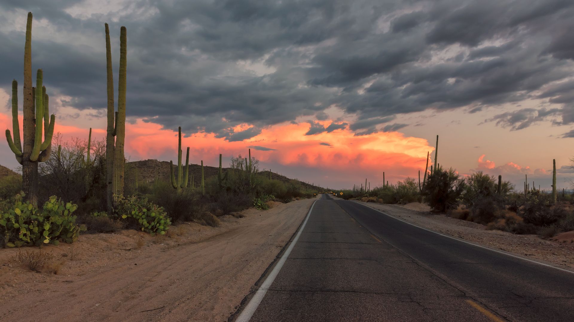 Road through desert landscape at sunset with saguaro cacti and dramatic clouds.