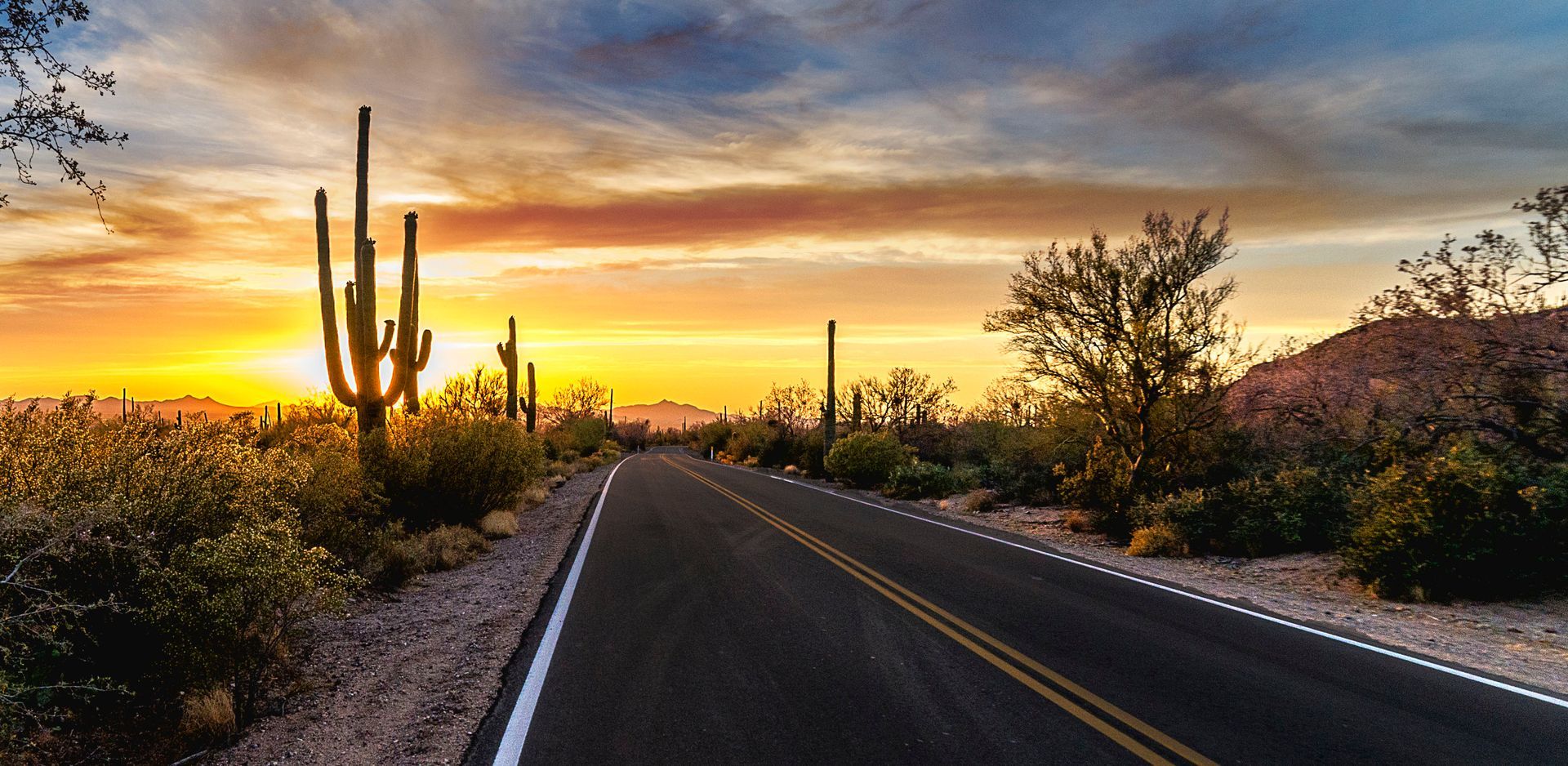 Desert road at sunset with cacti and mountains. Sky has orange and blue hues.