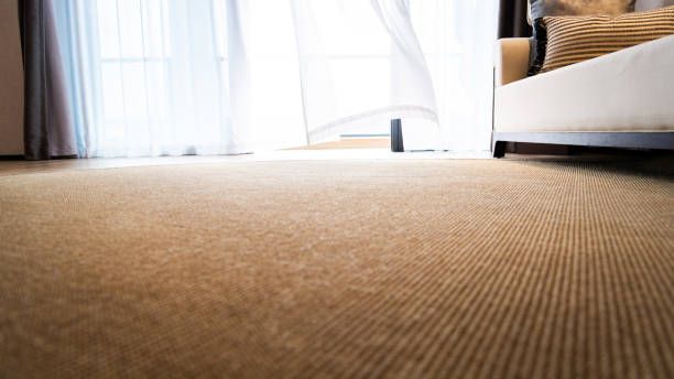Beige carpet with a blurred window and sofa in the background.