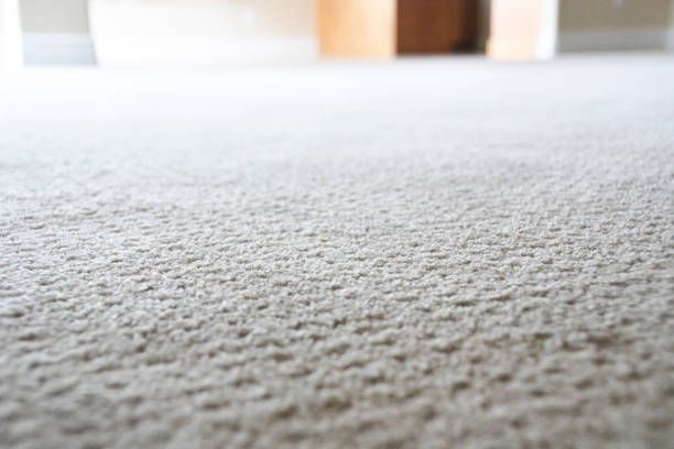 Close-up of beige carpet, blurred background showing doorway and walls.