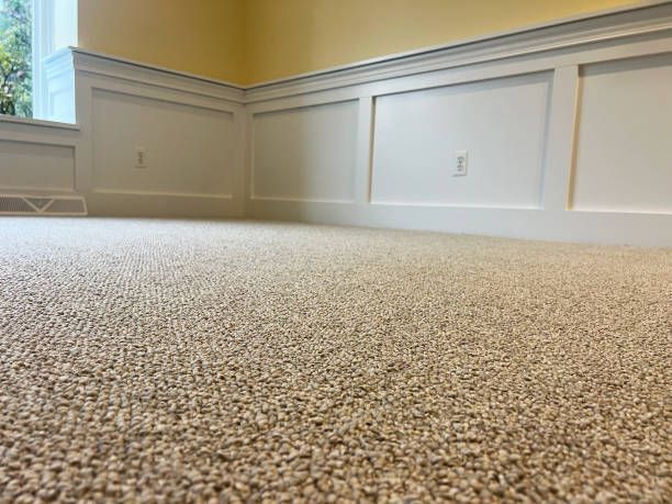 Low-angle view of a room with beige carpet, white wainscoting, and a yellow wall.