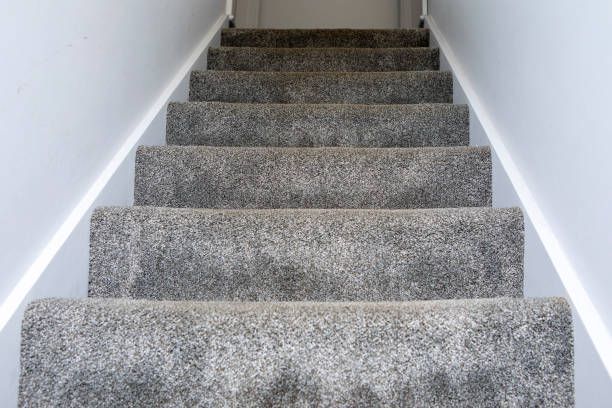 Staircase with gray carpet and white walls, leading upwards.