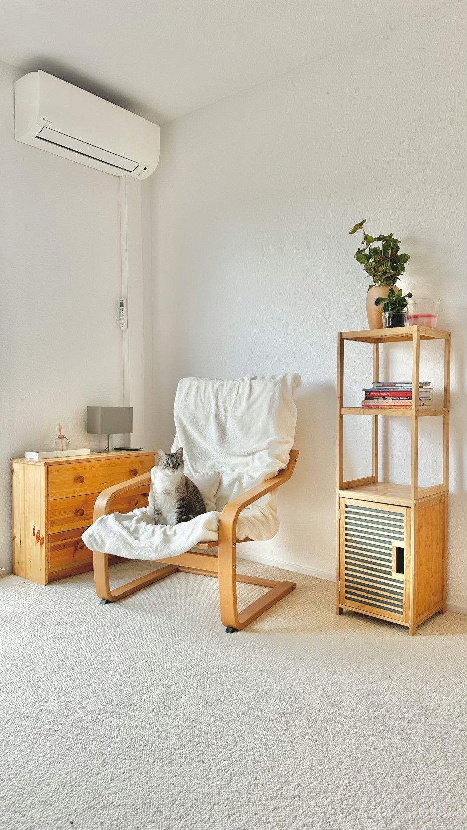 A cat is sitting in a chair in a living room.