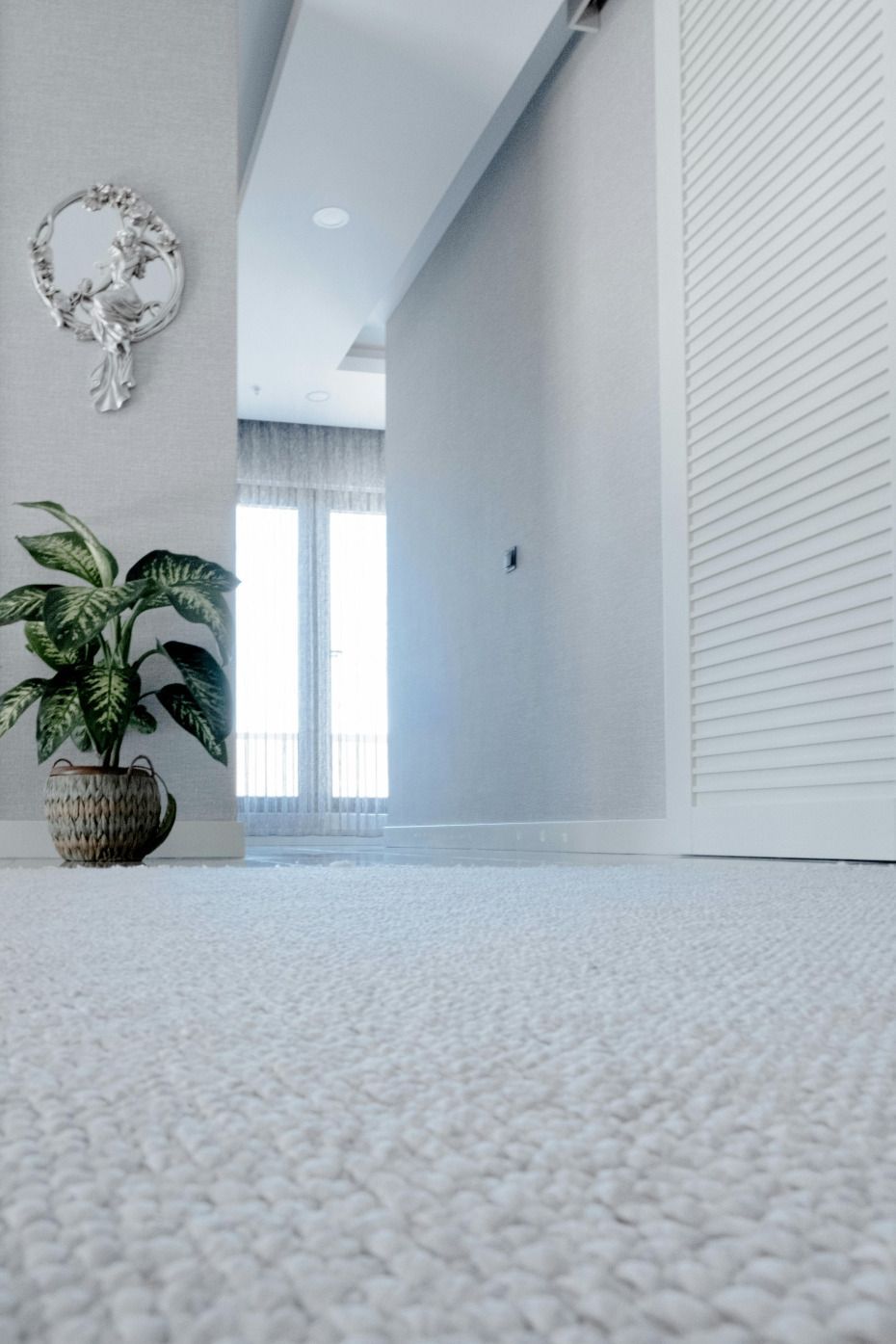 White carpeted hallway leading to a bright doorway, with a plant in a woven pot on the left and a shuttered door on the right.