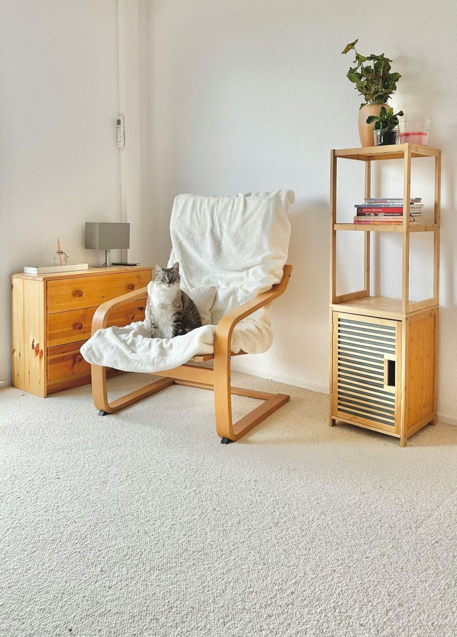 A cat sits in a wooden chair with a white cushion in a room with light-colored furniture and a small shelving unit.