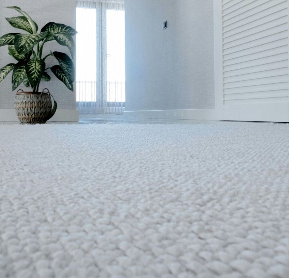 Close-up of a white, textured carpet in a room with a large plant and a balcony door.