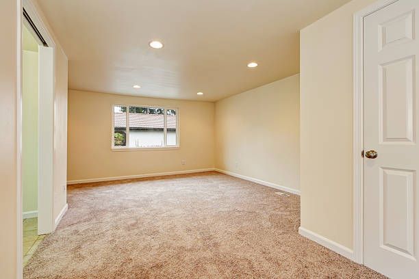 Expert carpet installation in Wallsend room
