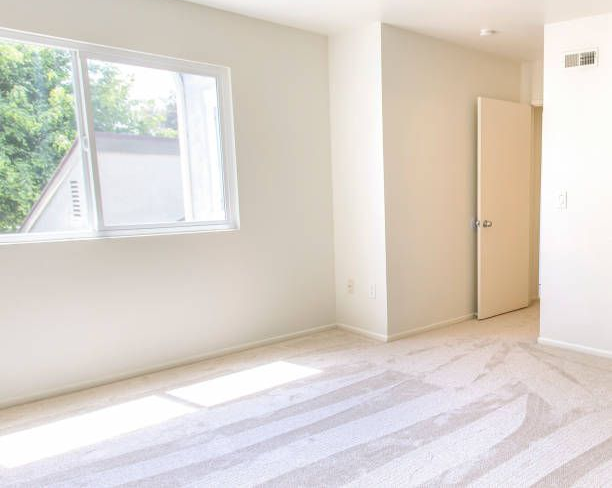 Empty, white-walled room with a window, door, and light-colored carpet. Daylight shines in, illuminating the space.