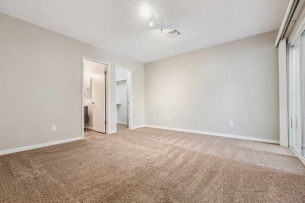 Empty bedroom with beige carpet, light gray walls, and bathroom doorway.