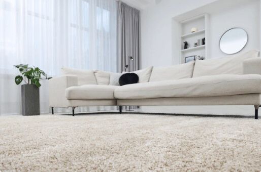 Beige living room with a large sofa, fluffy carpet, and a potted plant.
