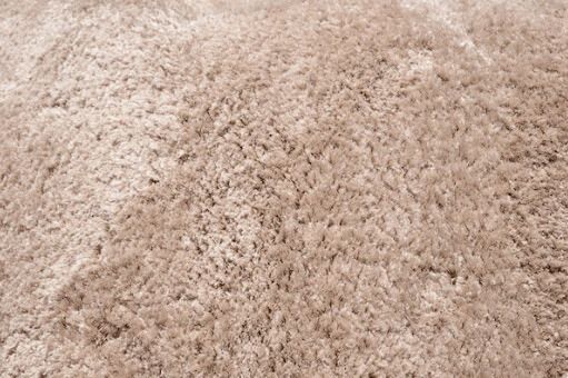 Close-up of a beige, fluffy carpet texture.