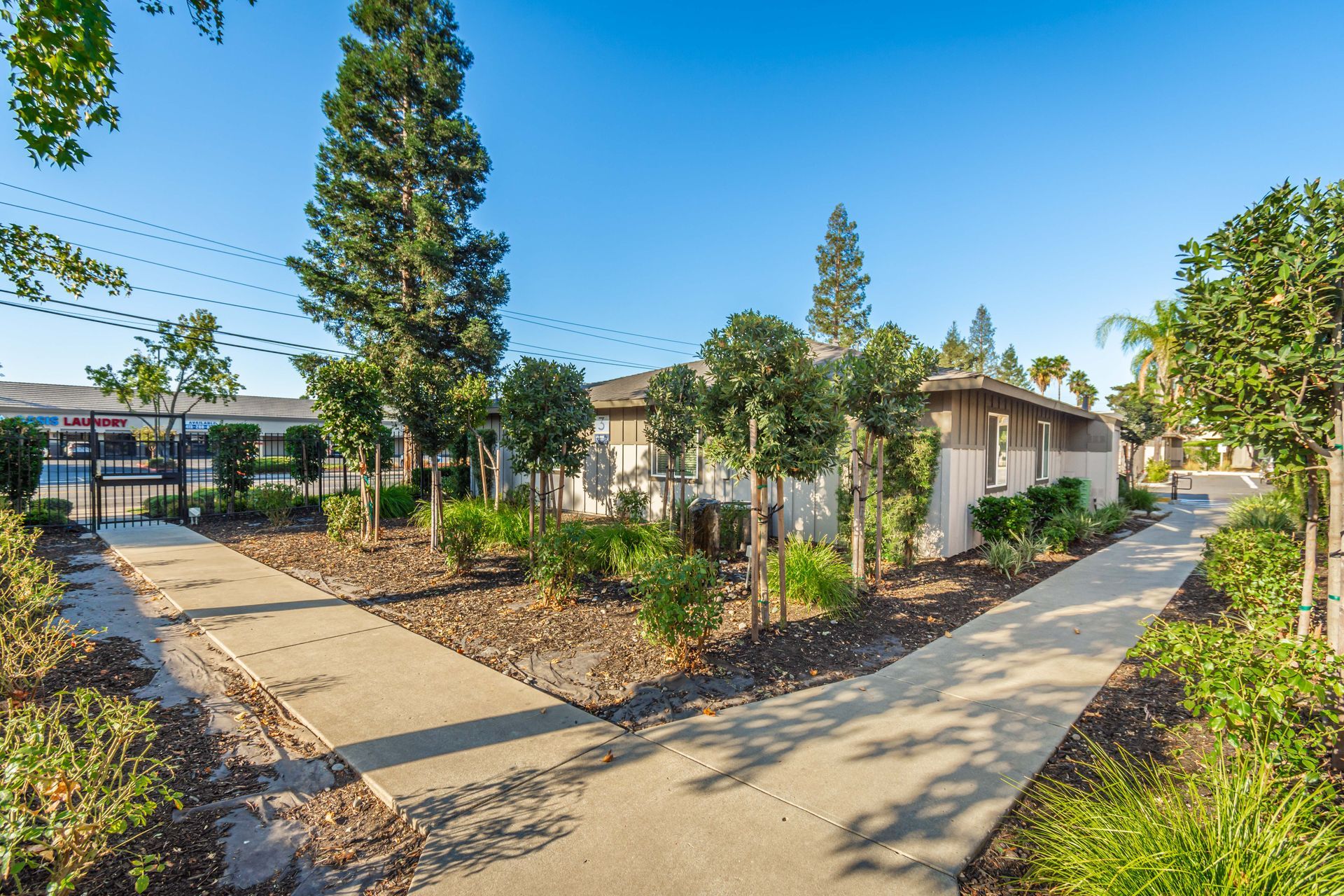 A concrete walkway leading to a house surrounded by trees and bushes