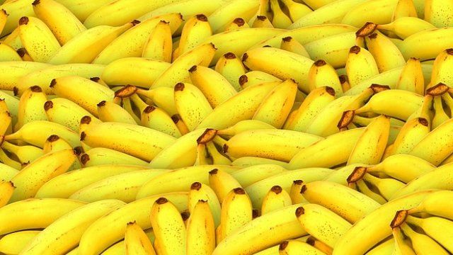 Acercamiento a un gran conjunto de bananos amarillos