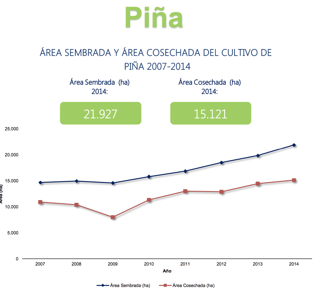Gráfico de áreas de Piña en Colombia 2007 - 2016, según Agronet
