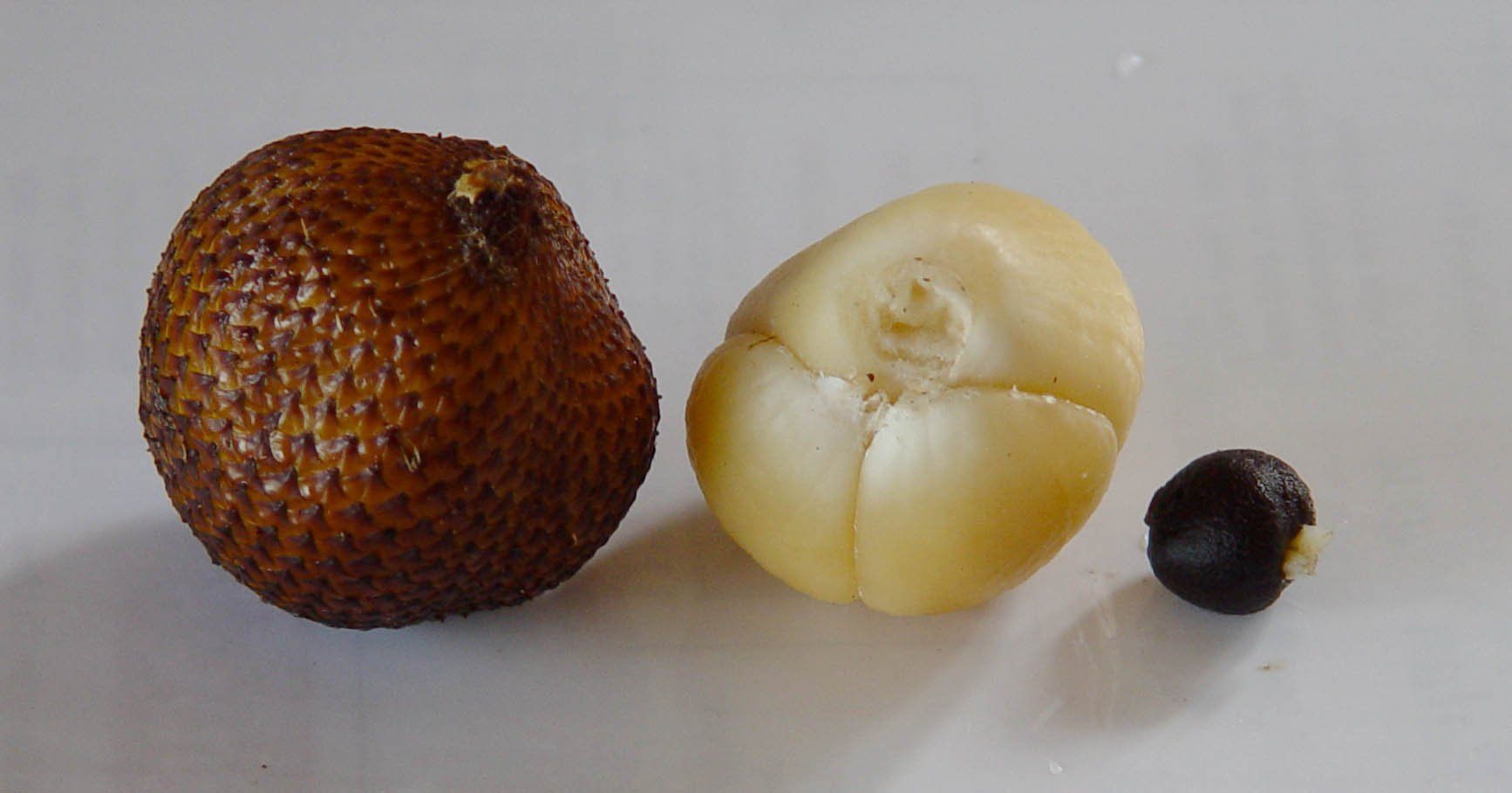Foto de un Salac, fruta de Java y Sumatra