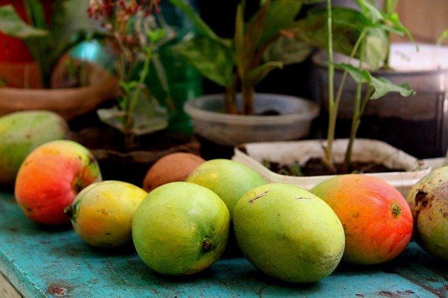 Conjunto de mangos enteros