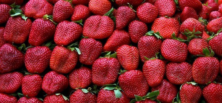 Acercamineto a Fresas rojas