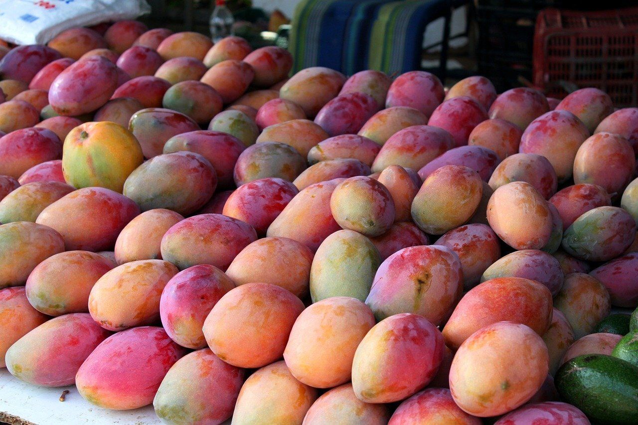 Arrume de mangos maduros
