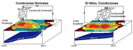 gráfico sobre el fenómeno del niño