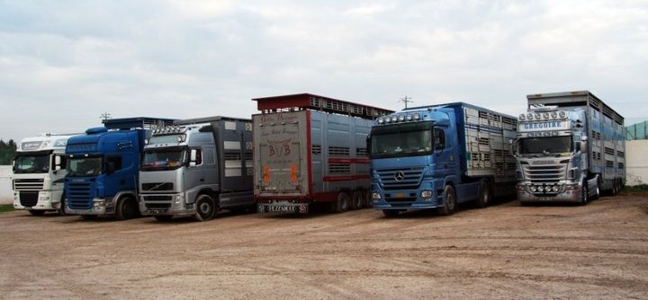 Camion per il trasporto carne