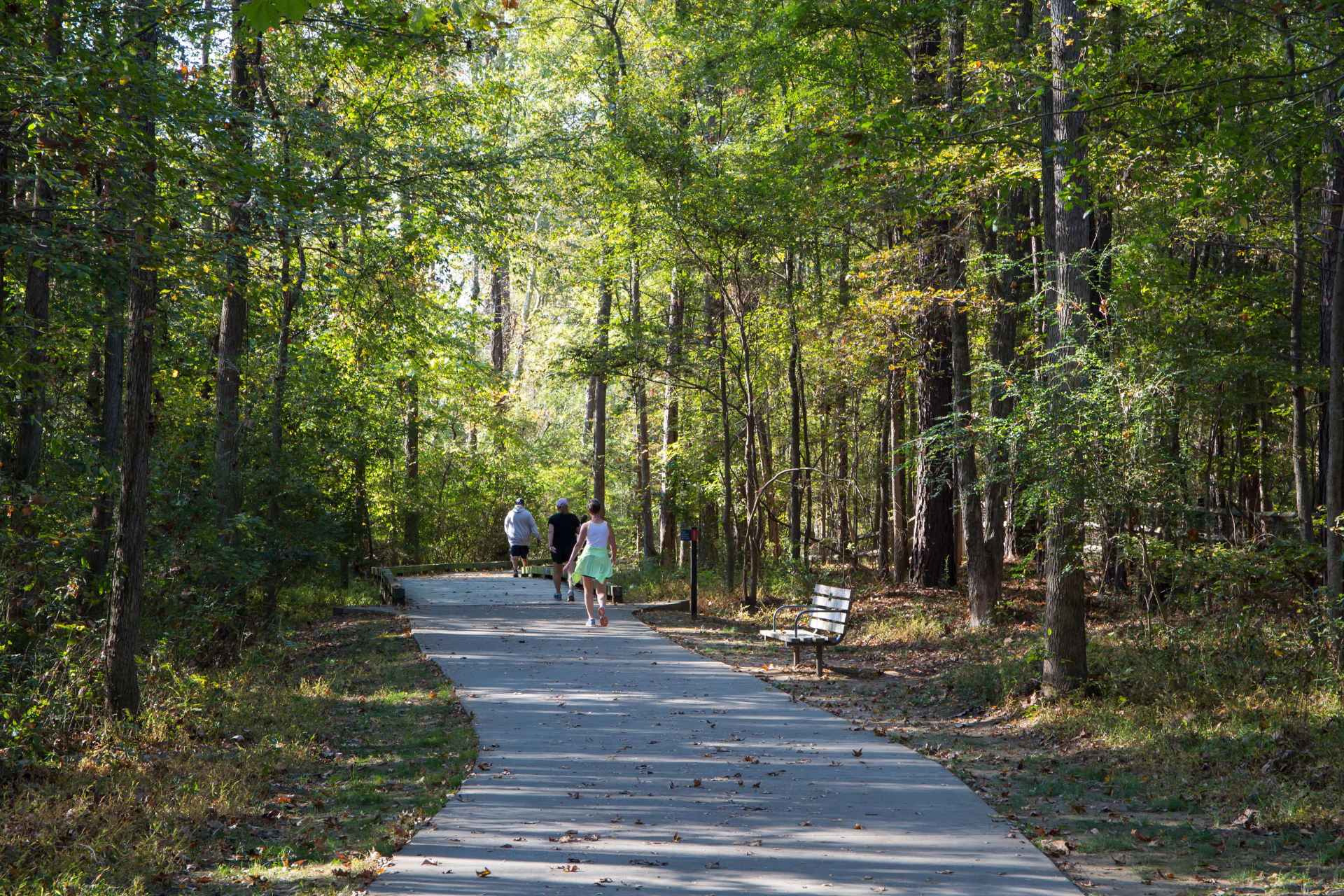 Paved path through a sunny forest. People walk in the distance. A bench sits by the path.