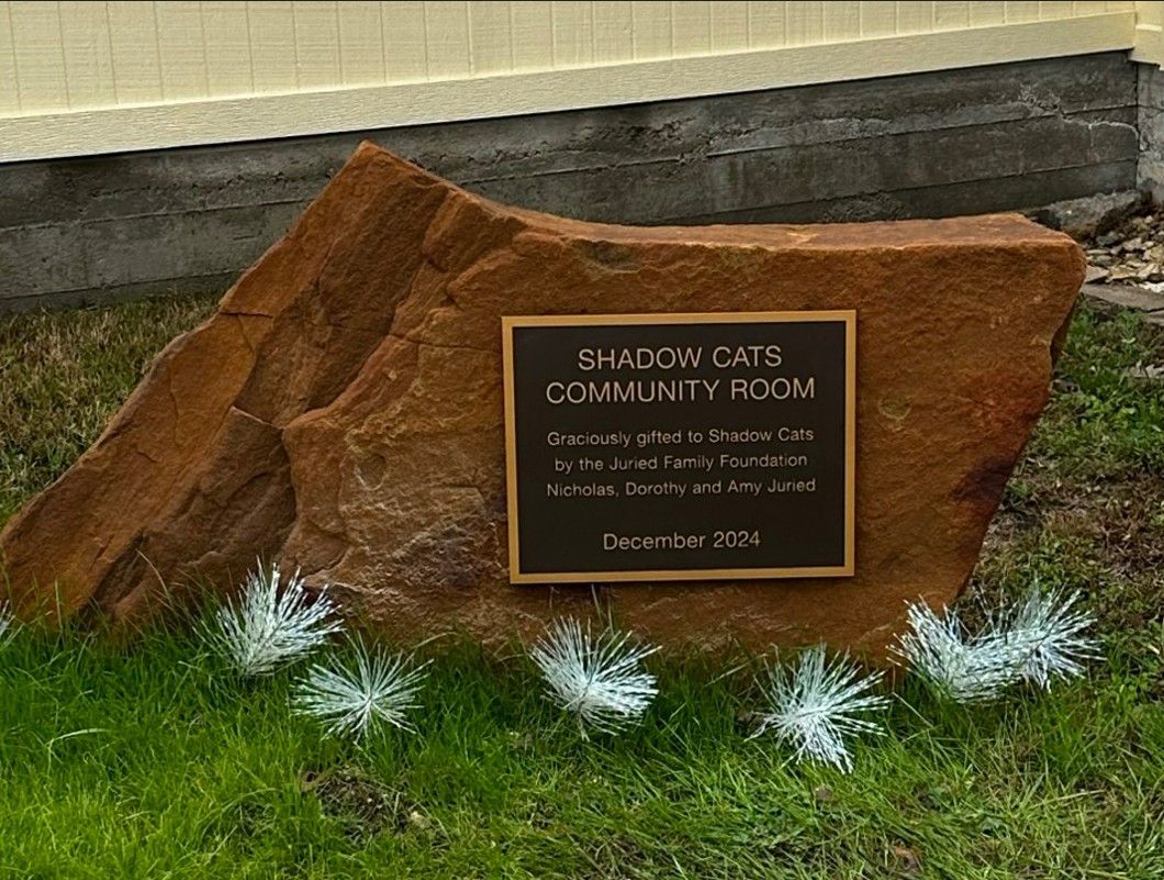 A cemetery with a bench that says ' eckert ' on it