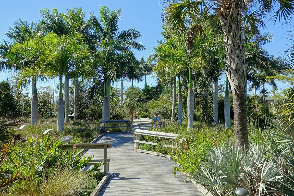 Naples Botanical Garden, Florida