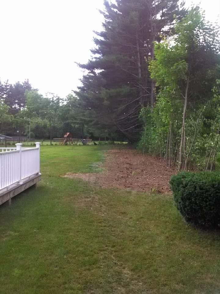 A backyard with a white fence and trees in the background