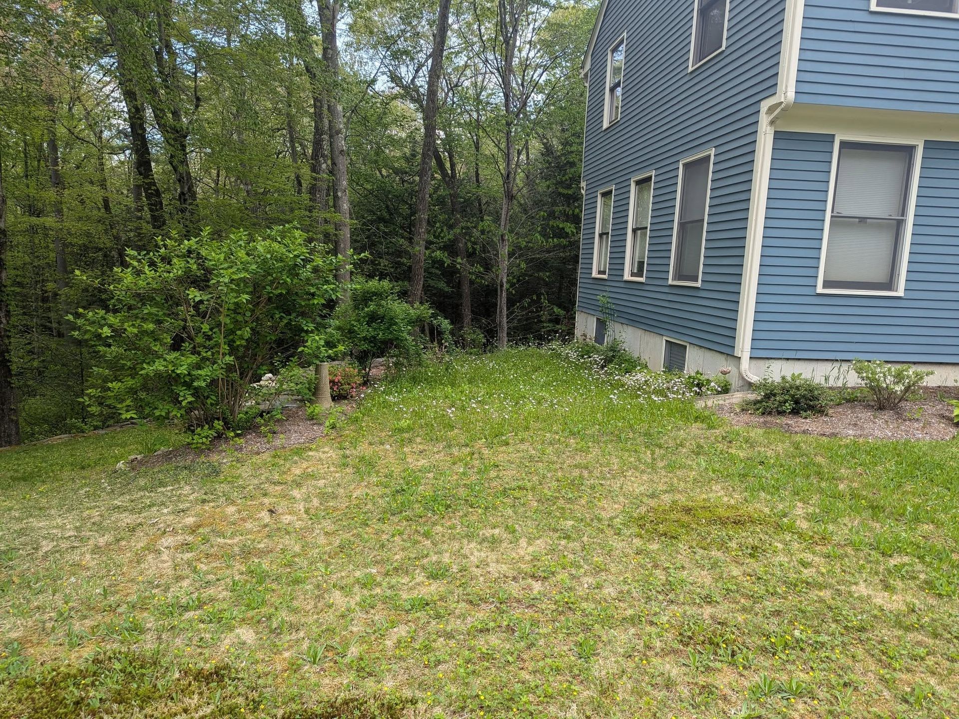 A blue house with a lot of grass in front of it.