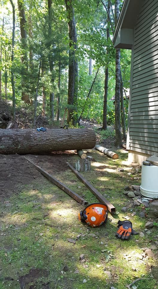A large log is laying on the ground in front of a house.