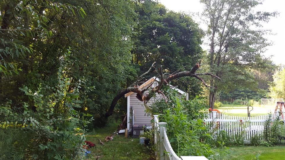 A tree has fallen on a house in a backyard.