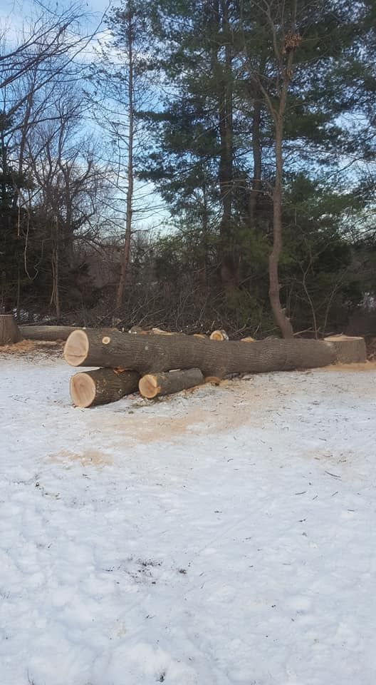A pile of logs sitting on top of each other in the snow.