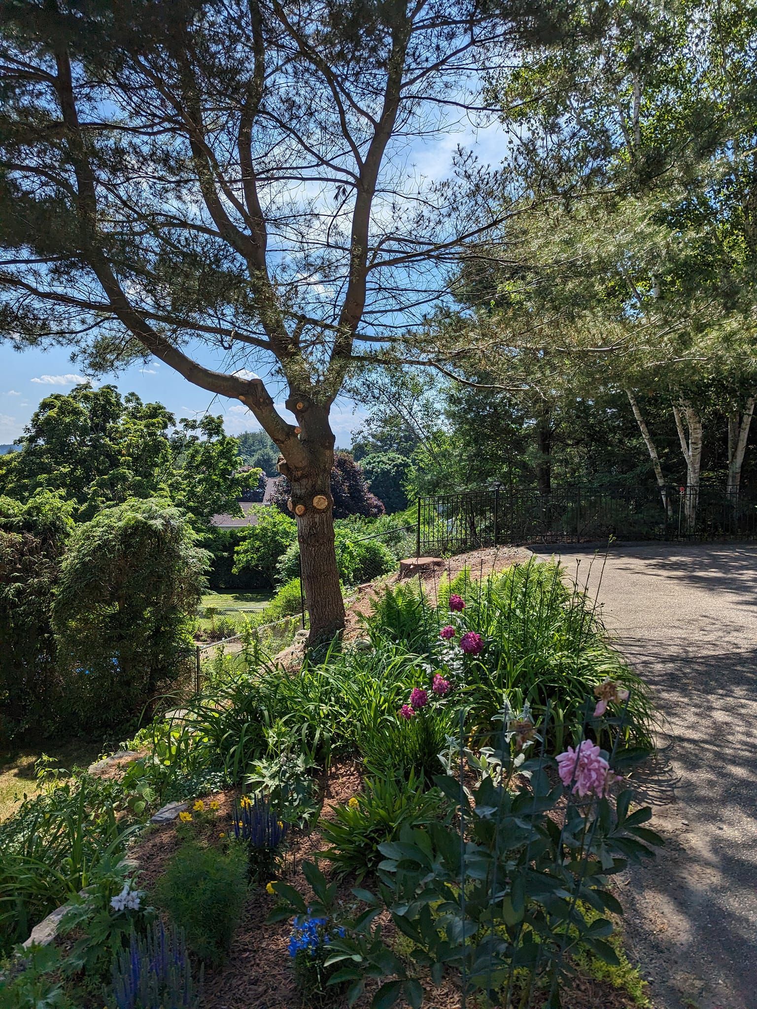 There is a tree in the middle of a garden with flowers.