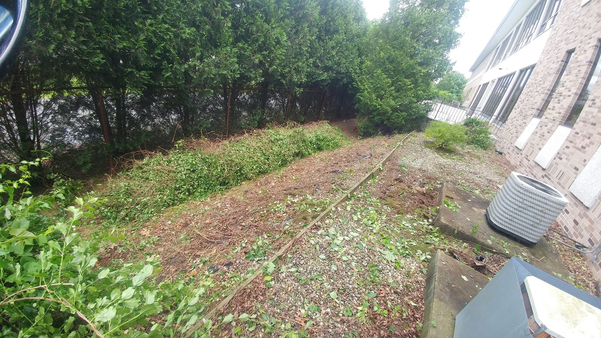There is a lot of leaves on the ground in the backyard of a house.