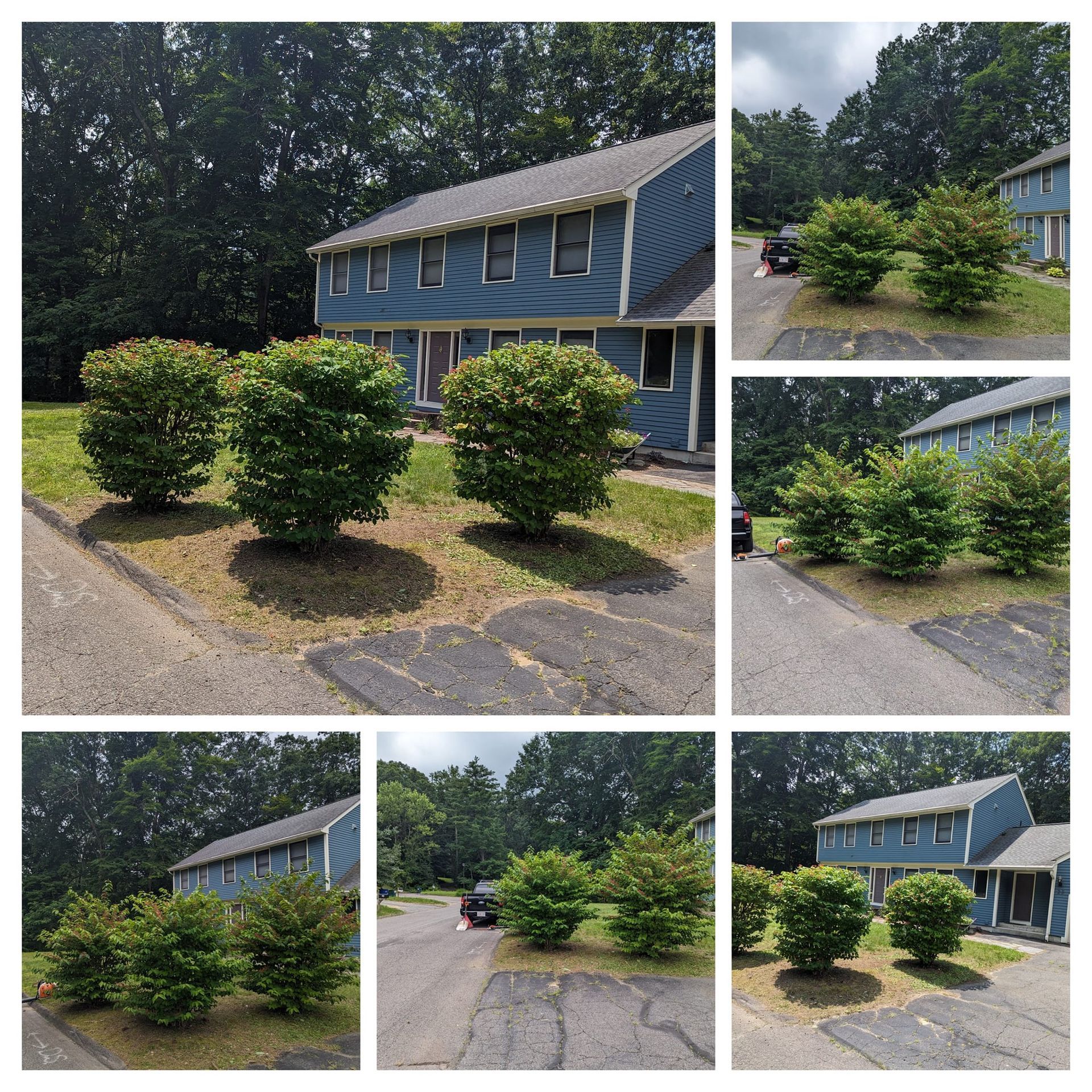 A collage of pictures of a house with trees in front of it