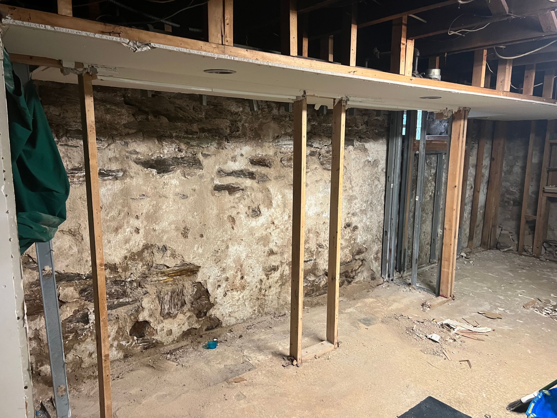 Interior Demolition Job