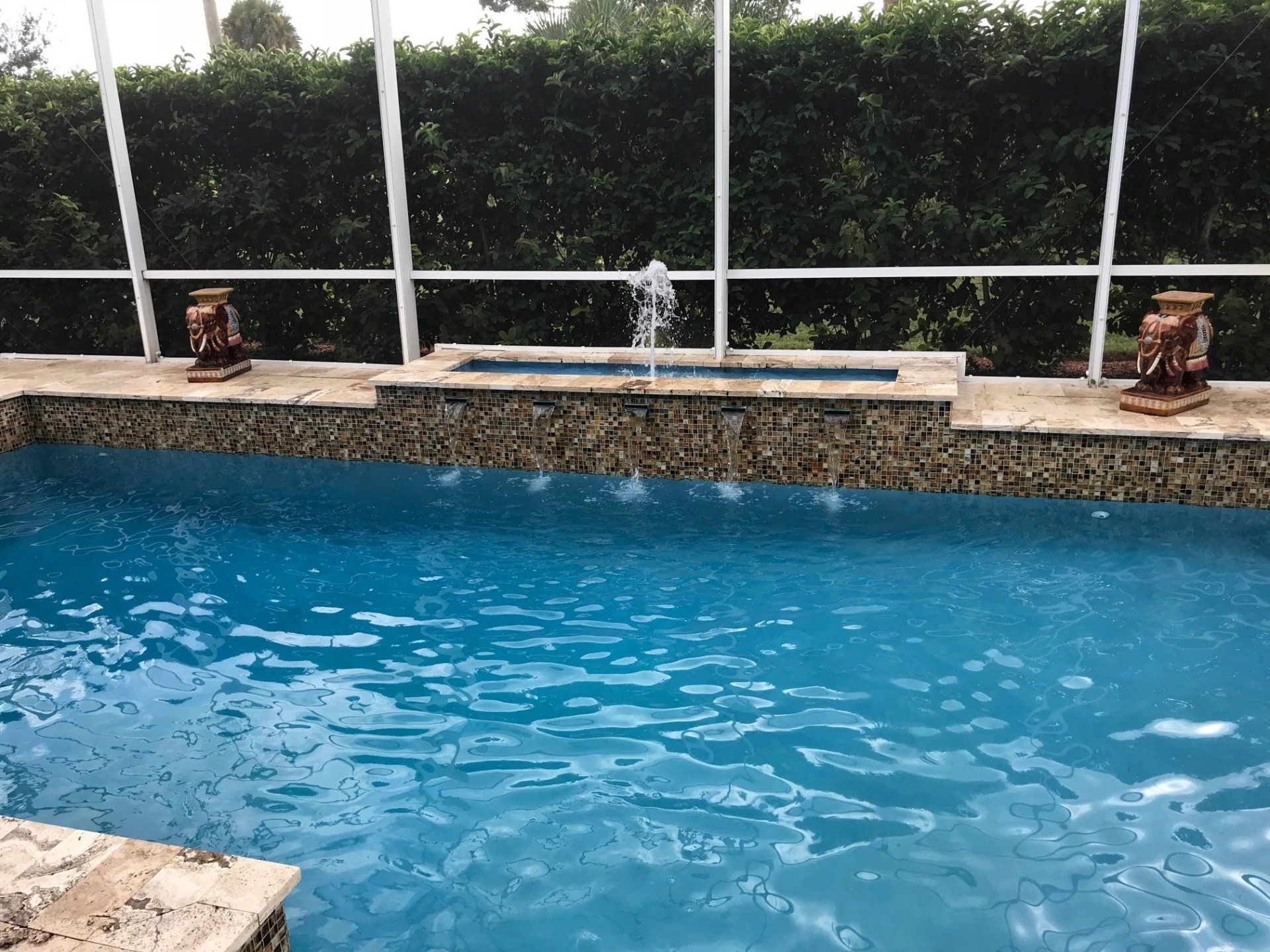 Green Pool Cleaning Services in Rockledge, FL