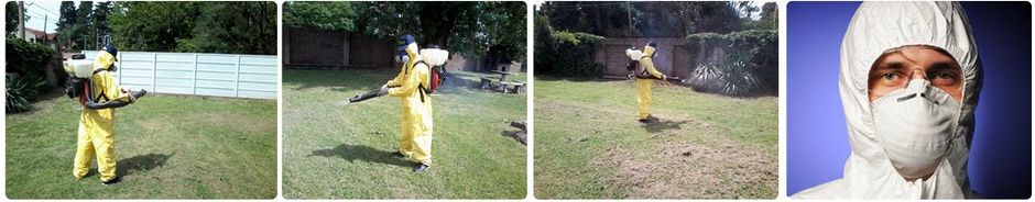 Persona con traje protector amarillo rociando césped; primer plano de una máscara protectora.