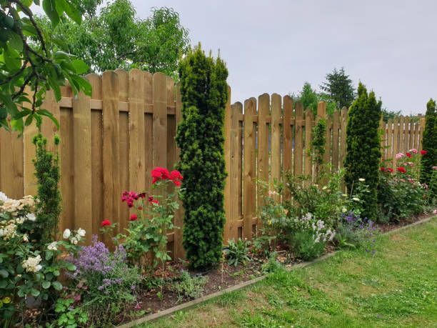 Wooden garden fence with flowering plants and green lawn on a sunny day