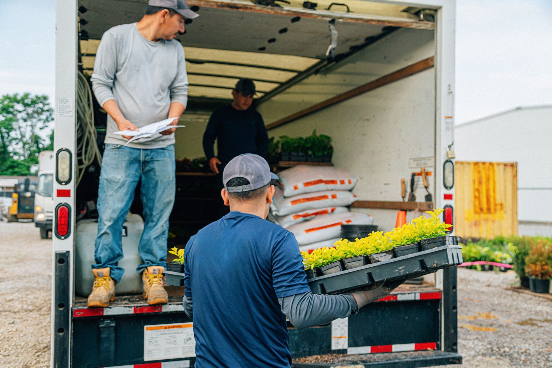 Flower delivery man carrying flowers from a garden center, delivering to a landscaping company. Flower delivery man carrying flowers from a garden center, delivering to a landscaping company.