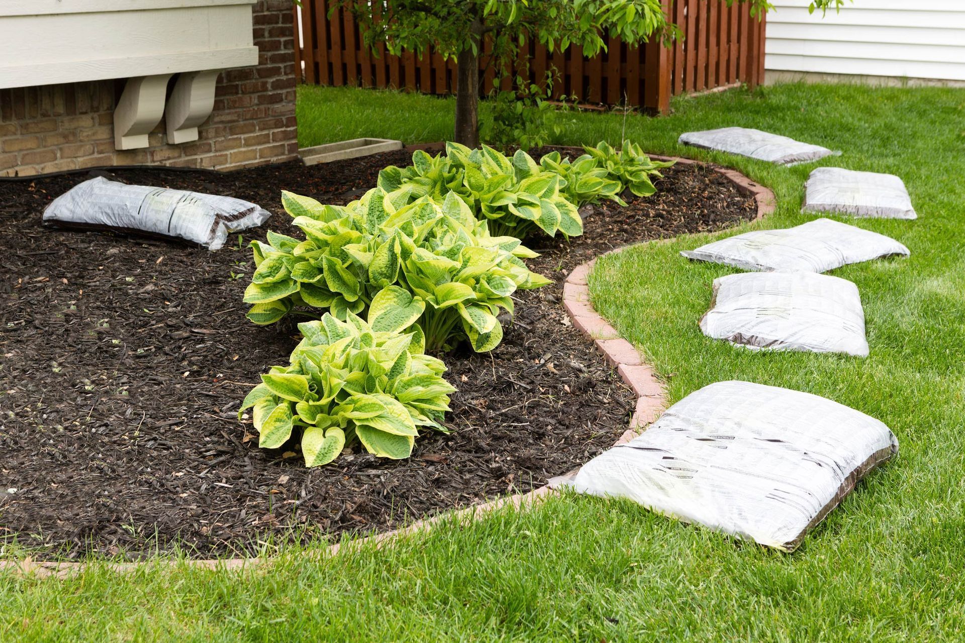 Mulched garden bed with hostas and a curved pink border beside a house lawn
