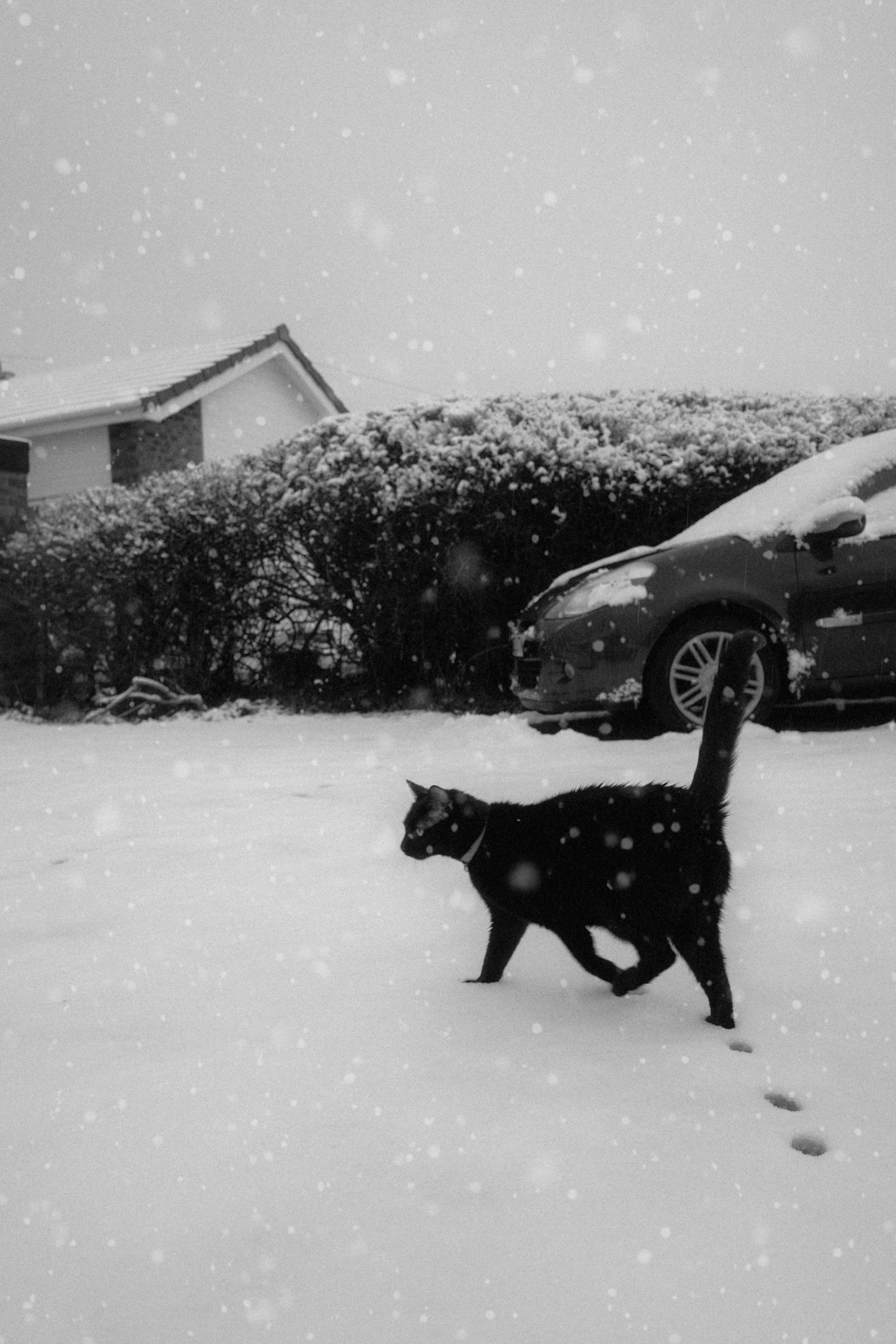 Speak Low Poetry | What Light Was 