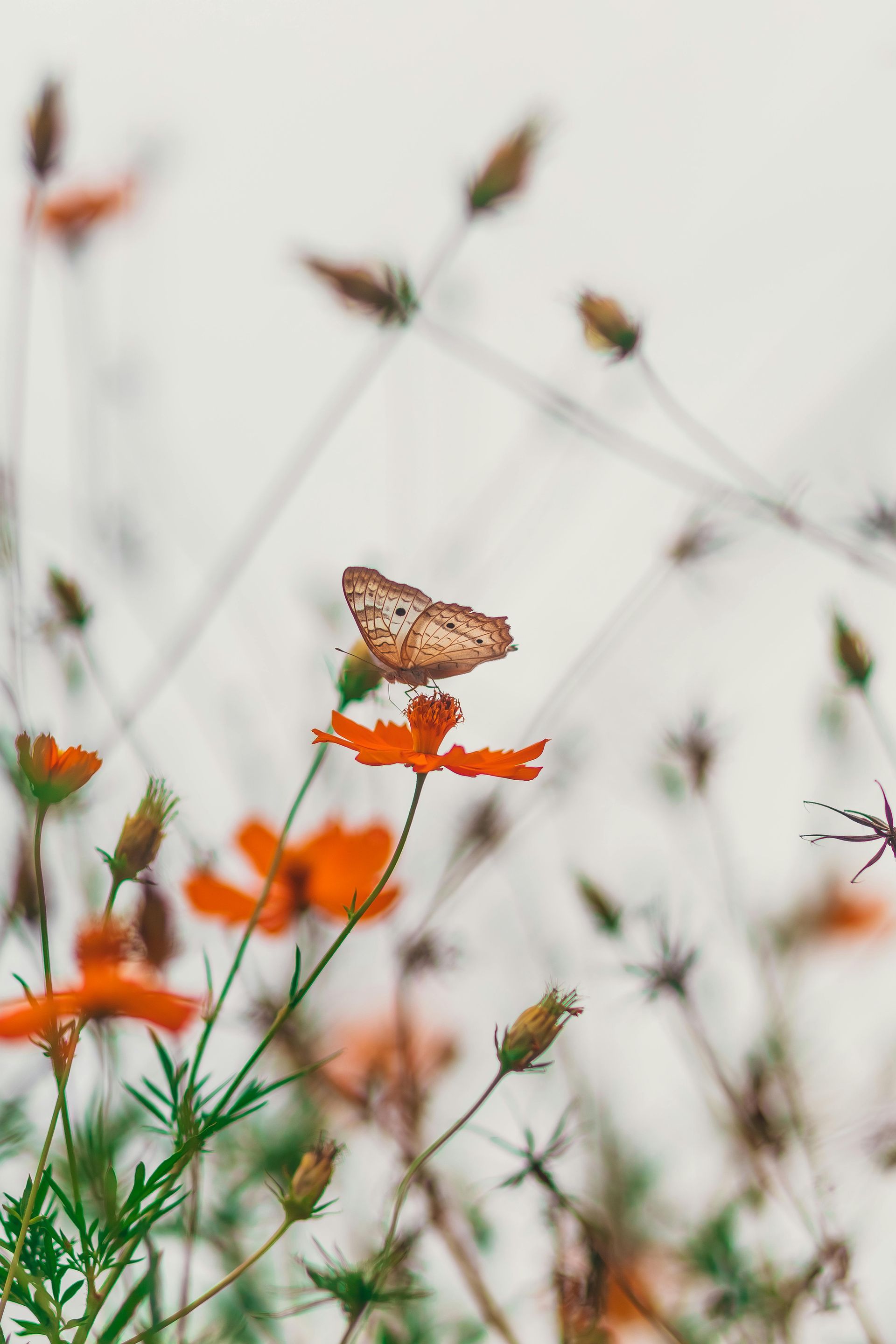 Speak Low Poetry | What Light Was 