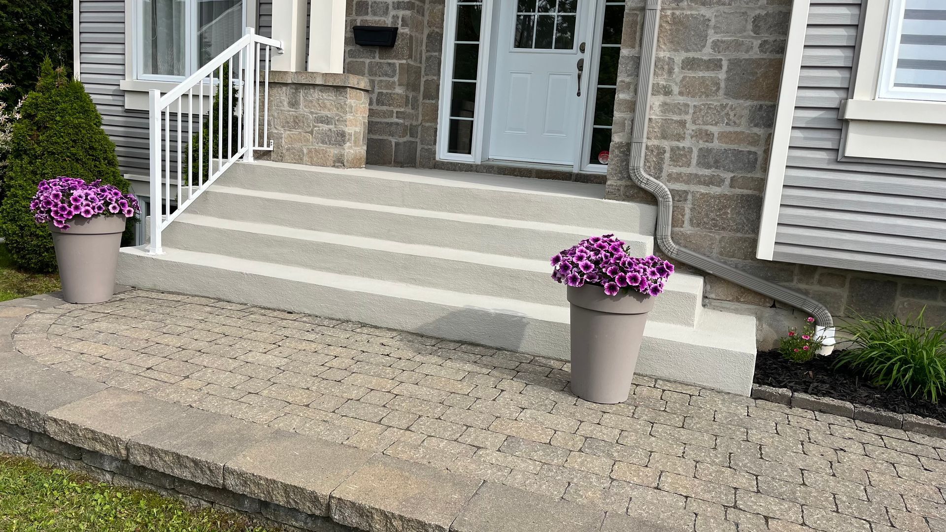 Il y a deux pots de fleurs violettes sur le trottoir devant une maison.