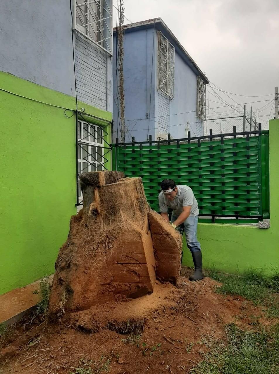 JARDINERÍA ESPECIALIZADA VEGA