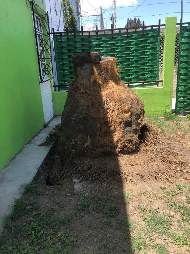 JARDINERÍA ESPECIALIZADA VEGA