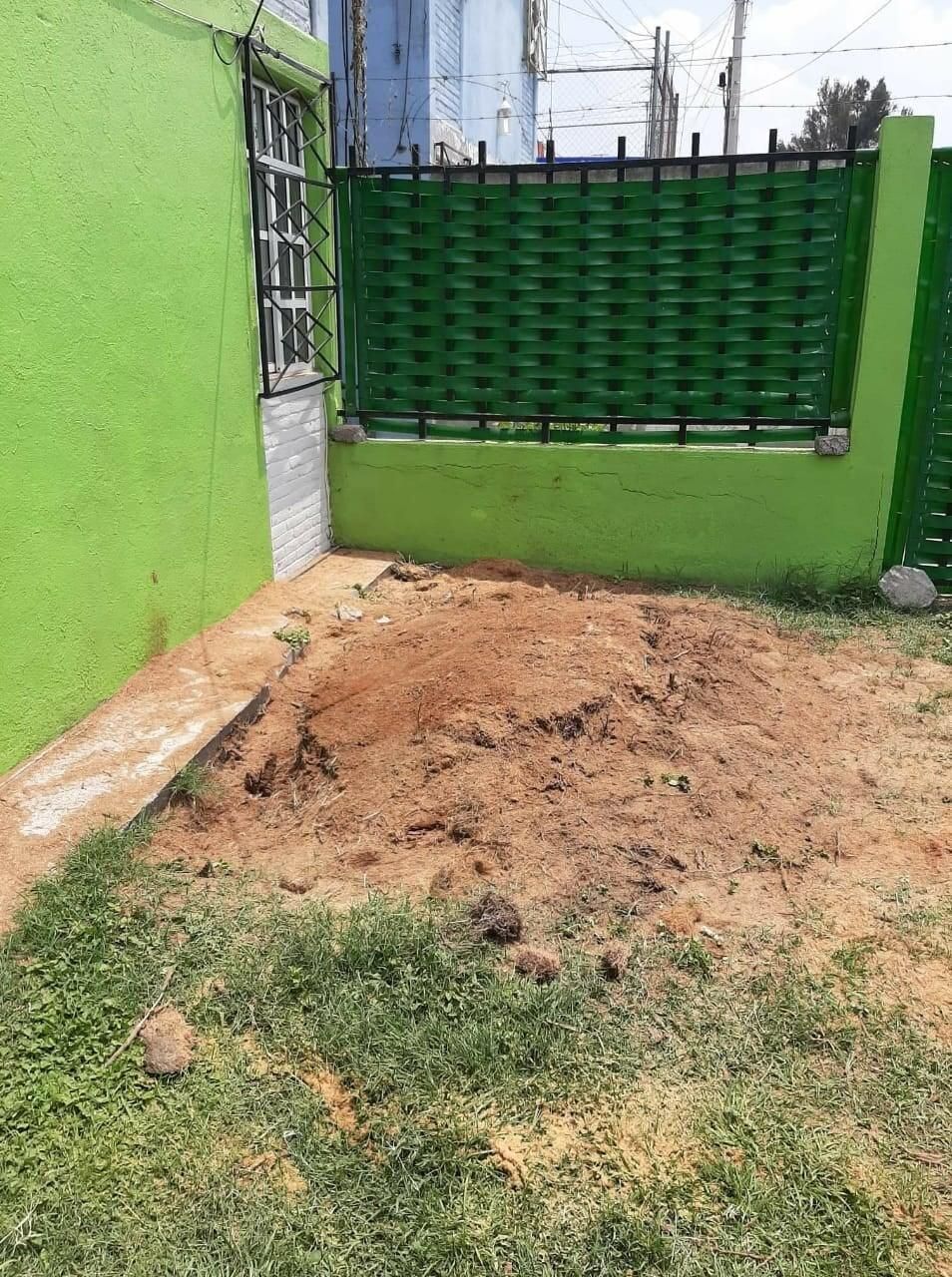 JARDINERÍA ESPECIALIZADA VEGA